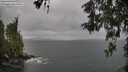 ./images/koeye/fitz-hugh/20260514/fitz-hugh20260514_121502M.jpg