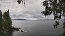 ./images/koeye/fitz-hugh/20260514/fitz-hugh20260514_131501M.jpg