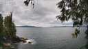 ./images/koeye/fitz-hugh/20260514/fitz-hugh20260514_133502M.jpg
