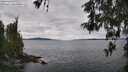 ./images/koeye/fitz-hugh/20260514/fitz-hugh20260514_134001M.jpg