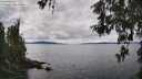 ./images/koeye/fitz-hugh/20260514/fitz-hugh20260514_135501M.jpg