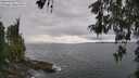 ./images/koeye/fitz-hugh/20260514/fitz-hugh20260514_154501M.jpg