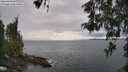 ./images/koeye/fitz-hugh/20260514/fitz-hugh20260514_155001M.jpg
