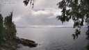 ./images/koeye/fitz-hugh/20260514/fitz-hugh20260514_162001M.jpg