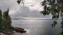 ./images/koeye/fitz-hugh/20260514/fitz-hugh20260514_162501M.jpg