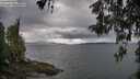 ./images/koeye/fitz-hugh/20260514/fitz-hugh20260514_170501M.jpg