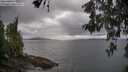 ./images/koeye/fitz-hugh/20260514/fitz-hugh20260514_171501M.jpg