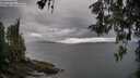 ./images/koeye/fitz-hugh/20260514/fitz-hugh20260514_173001M.jpg