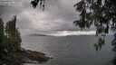 ./images/koeye/fitz-hugh/20260514/fitz-hugh20260514_173501M.jpg
