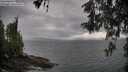 ./images/koeye/fitz-hugh/20260514/fitz-hugh20260514_175001M.jpg