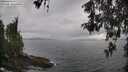 ./images/koeye/fitz-hugh/20260514/fitz-hugh20260514_181001M.jpg