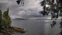 ./images/koeye/fitz-hugh/20260514/fitz-hugh20260514_184002M.jpg