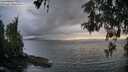 ./images/koeye/fitz-hugh/20260514/fitz-hugh20260514_191501M.jpg