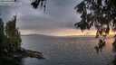./images/koeye/fitz-hugh/20260514/fitz-hugh20260514_203501M.jpg