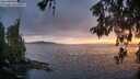./images/koeye/fitz-hugh/20260514/fitz-hugh20260514_205001M.jpg