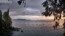 ./images/koeye/fitz-hugh/20260514/fitz-hugh20260514_211501M.jpg