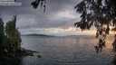 ./images/koeye/fitz-hugh/20260514/fitz-hugh20260514_212001M.jpg