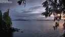 ./images/koeye/fitz-hugh/20260514/fitz-hugh20260514_214002M.jpg