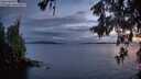 ./images/koeye/fitz-hugh/20260514/fitz-hugh20260514_214501M.jpg