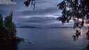 ./images/koeye/fitz-hugh/20260514/fitz-hugh20260514_215001M.jpg