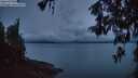 ./images/koeye/fitz-hugh/20260515/fitz-hugh20260515_050502M.jpg