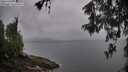 ./images/koeye/fitz-hugh/20260515/fitz-hugh20260515_065002M.jpg