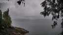 ./images/koeye/fitz-hugh/20260515/fitz-hugh20260515_065501M.jpg