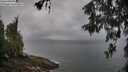 ./images/koeye/fitz-hugh/20260515/fitz-hugh20260515_071002M.jpg