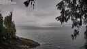./images/koeye/fitz-hugh/20260515/fitz-hugh20260515_074501M.jpg