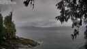 ./images/koeye/fitz-hugh/20260515/fitz-hugh20260515_085501M.jpg