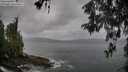 ./images/koeye/fitz-hugh/20260515/fitz-hugh20260515_091001M.jpg