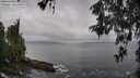 ./images/koeye/fitz-hugh/20260515/fitz-hugh20260515_094001M.jpg