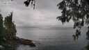 ./images/koeye/fitz-hugh/20260515/fitz-hugh20260515_095001M.jpg