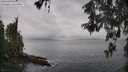./images/koeye/fitz-hugh/20260515/fitz-hugh20260515_095501M.jpg
