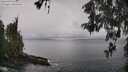 ./images/koeye/fitz-hugh/20260515/fitz-hugh20260515_100502M.jpg