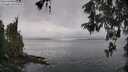 ./images/koeye/fitz-hugh/20260515/fitz-hugh20260515_103002M.jpg