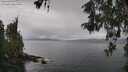 ./images/koeye/fitz-hugh/20260515/fitz-hugh20260515_111001M.jpg