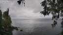 ./images/koeye/fitz-hugh/20260515/fitz-hugh20260515_113001M.jpg