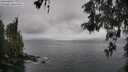 ./images/koeye/fitz-hugh/20260515/fitz-hugh20260515_114001M.jpg