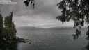 ./images/koeye/fitz-hugh/20260515/fitz-hugh20260515_115501M.jpg