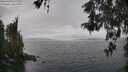 ./images/koeye/fitz-hugh/20260515/fitz-hugh20260515_120502M.jpg