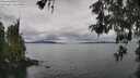 ./images/koeye/fitz-hugh/20260515/fitz-hugh20260515_124001M.jpg