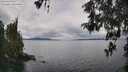 ./images/koeye/fitz-hugh/20260515/fitz-hugh20260515_124501M.jpg