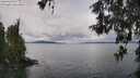 ./images/koeye/fitz-hugh/20260515/fitz-hugh20260515_125501M.jpg