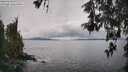 ./images/koeye/fitz-hugh/20260515/fitz-hugh20260515_133001M.jpg