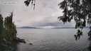 ./images/koeye/fitz-hugh/20260515/fitz-hugh20260515_133501M.jpg