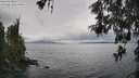 ./images/koeye/fitz-hugh/20260515/fitz-hugh20260515_135001M.jpg