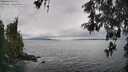 ./images/koeye/fitz-hugh/20260515/fitz-hugh20260515_135502M.jpg