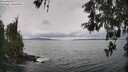 ./images/koeye/fitz-hugh/20260515/fitz-hugh20260515_140501M.jpg