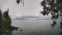 ./images/koeye/fitz-hugh/20260515/fitz-hugh20260515_141001M.jpg